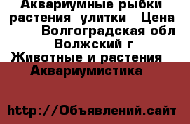 Аквариумные рыбки,растения, улитки › Цена ­ 15 - Волгоградская обл., Волжский г. Животные и растения » Аквариумистика   